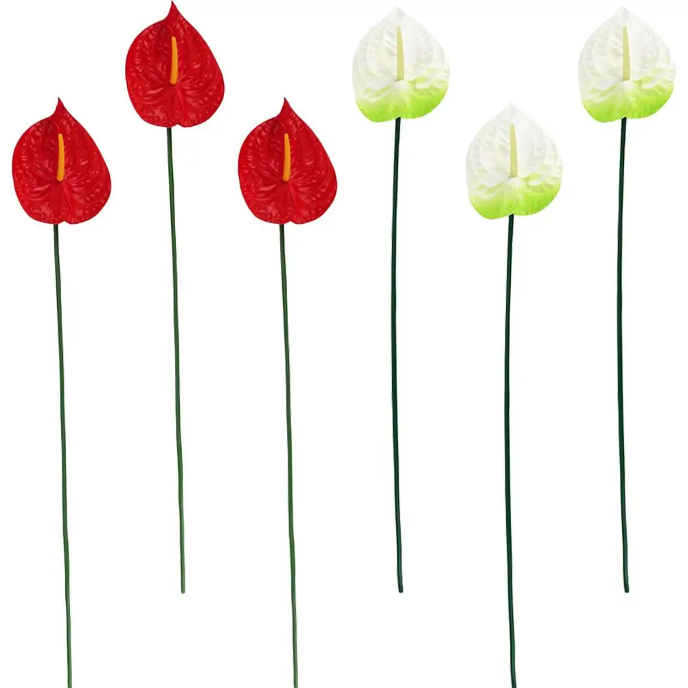 6 Pcs Artificial Anthurium Decorative Plants Faux Red White Flowers for Home Party Wedding Birthday Decoration
6 Pcs Artificial Anthurium Decorative Plants Faux Red White Flowers for Home Party Wedding Birthday Decoration