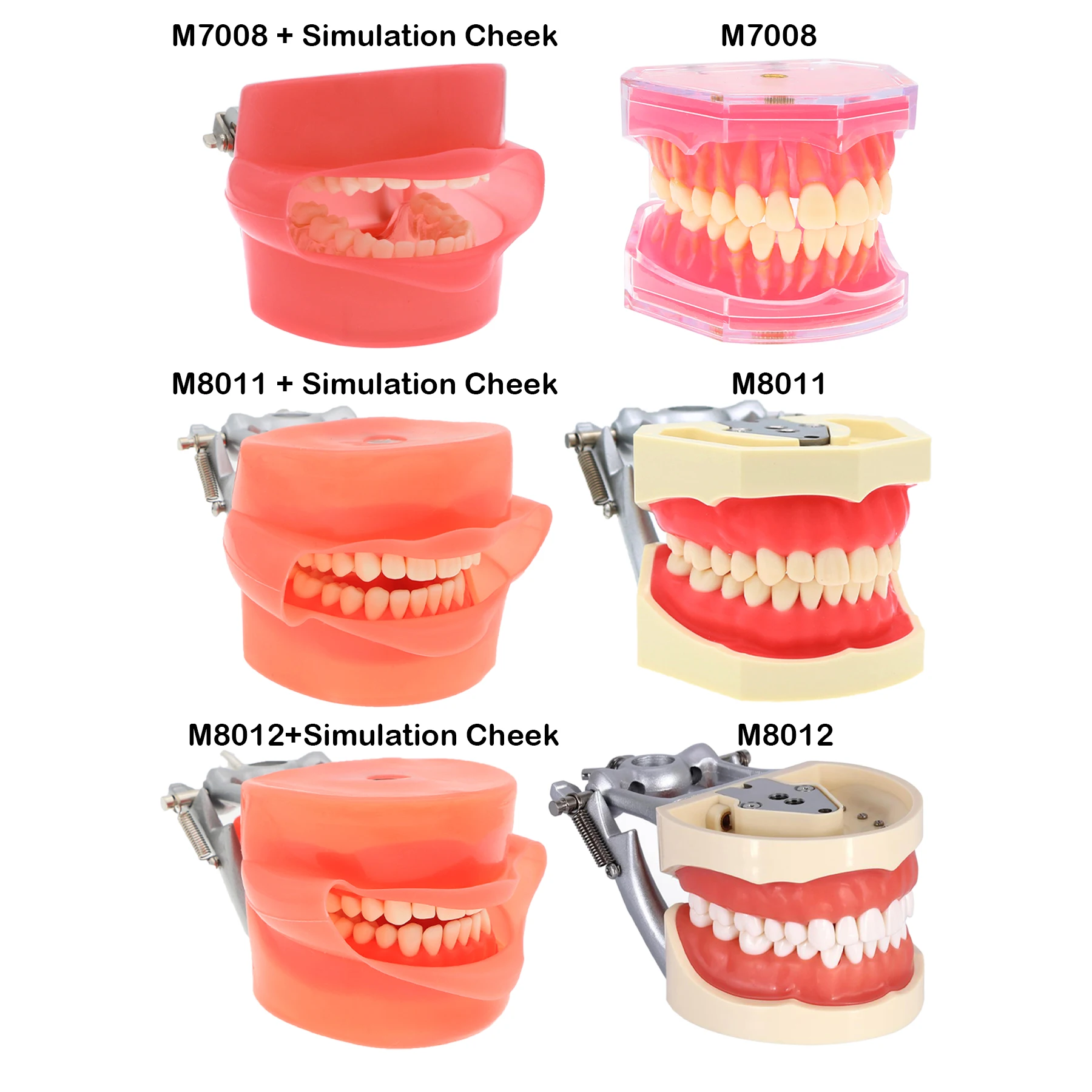 Dental Soft Rubber Simulation Cheek Suitable for Kilgore NISSIN 200/500 Type 28/32 Pcs Removable Teeth For Teaching Demo
Dental Soft Rubber Simulation Cheek Suitable for Kilgore NISSIN 200/500 Type 28/32 Pcs Removable Teeth For Teaching Demo
