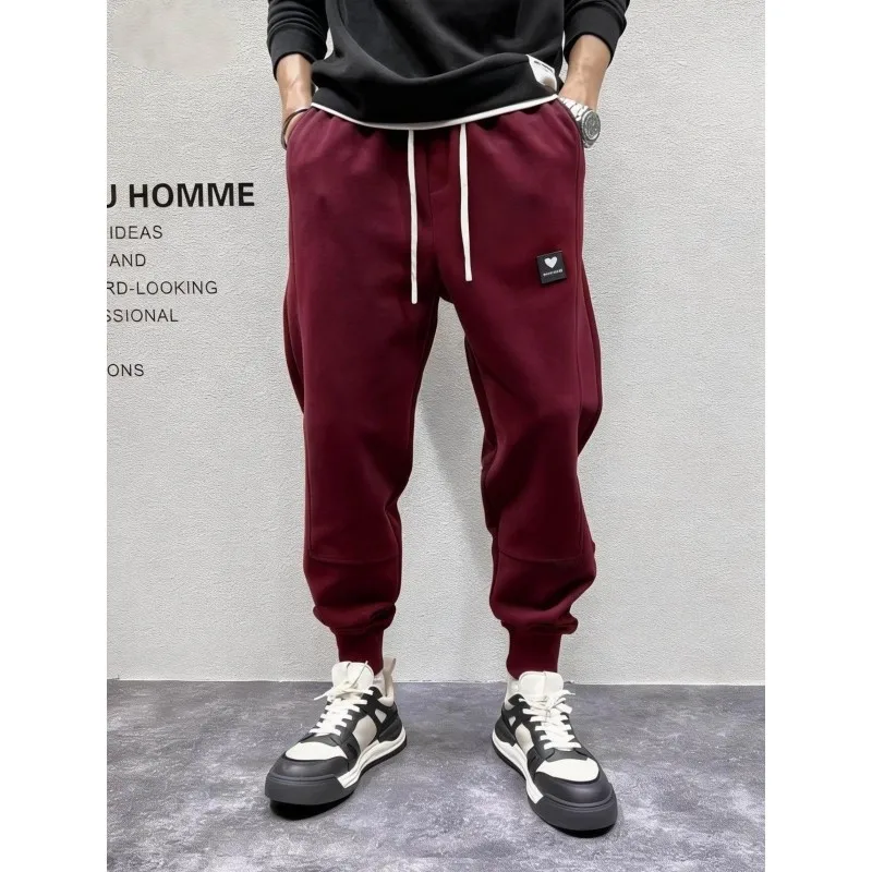 Men's Sporty Harlan Pants Autumn Winter Fleece Lined Embroidered Casual Trousers Comfortable Polyester Fiber City Walk
Men's Sporty Harlan Pants Autumn Winter Fleece Lined Embroidered Casual Trousers Comfortable Polyester Fiber City Walk