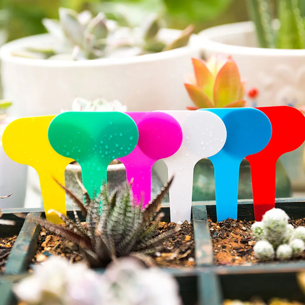 100 Pcs Gardening Plant Labels Durable Plastic Markers for Flower Store Yard Park Safe No Burrs Bright Color Realistic
100 Pcs Gardening Plant Labels Durable Plastic Markers for Flower Store Yard Park Safe No Burrs Bright Color Realistic