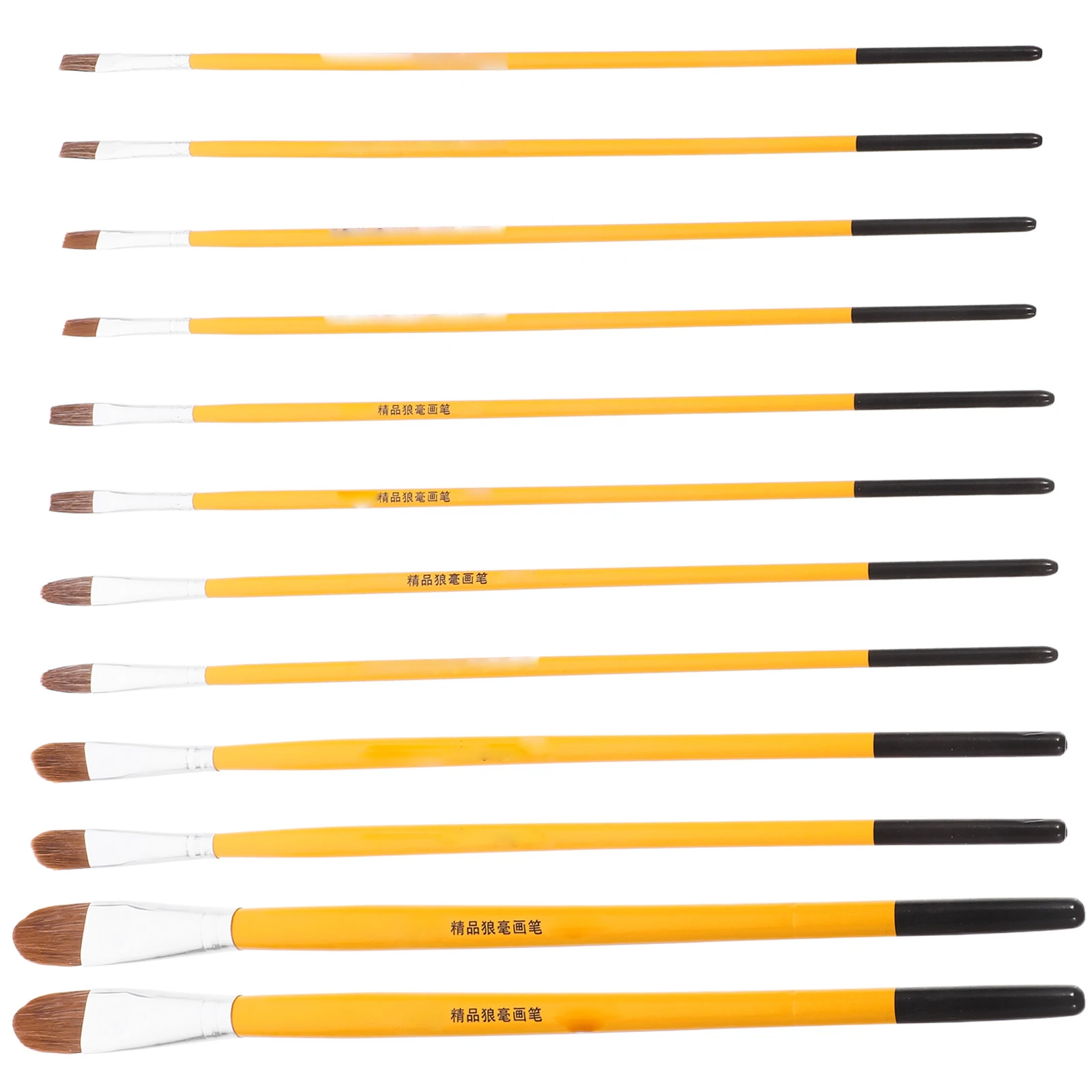 12pcs Wood Handle Paint Brushes Oil Painting Set Watercolor Wolf Hair Artist Accessories Student Art Tool Versatile Brushes
12pcs Wood Handle Paint Brushes Oil Painting Set Watercolor Wolf Hair Artist Accessories Student Art Tool Versatile Brushes