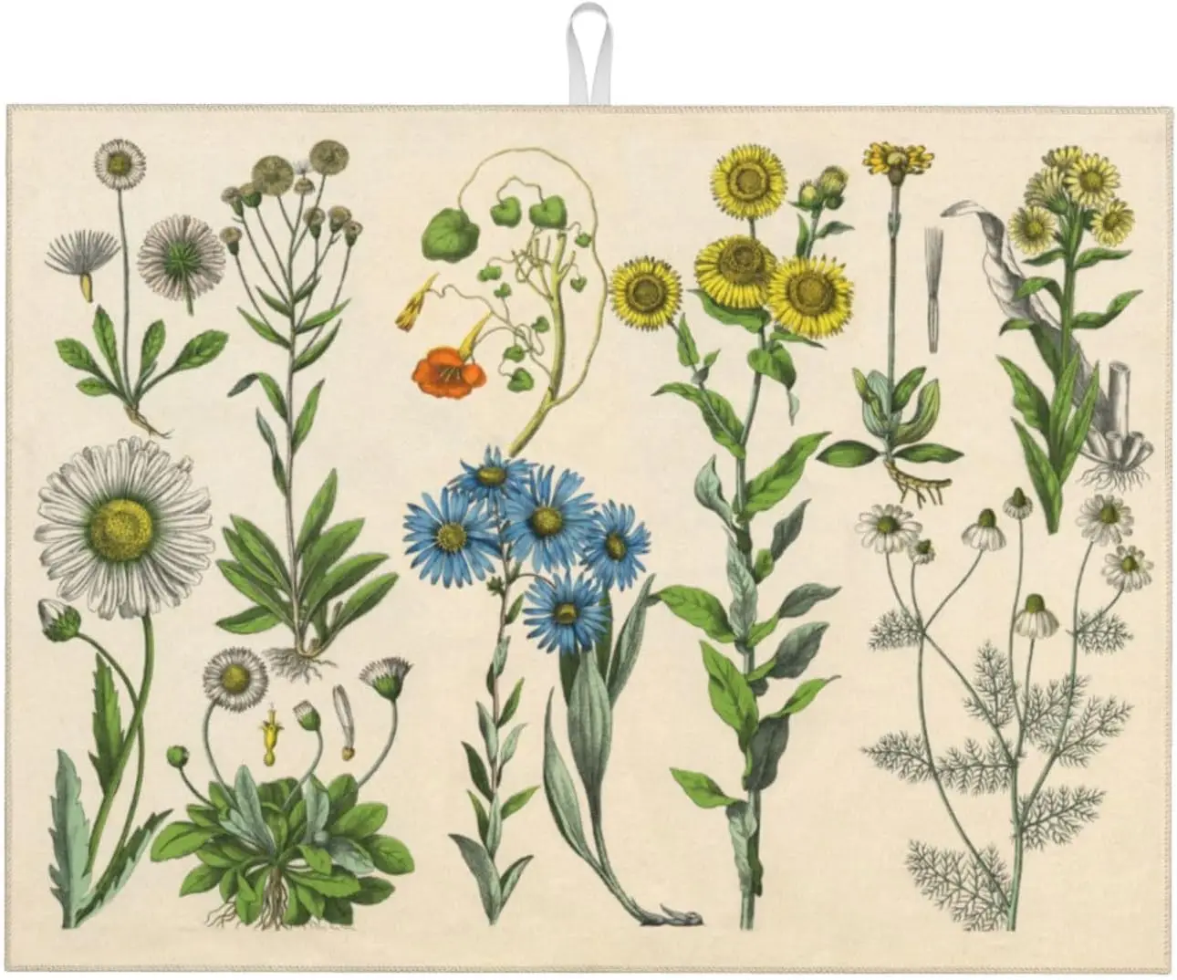 Plants Herbs Floral Dish Mat Drying Kitchen Mat Microfiber Absorbent Fast Dry kitchen accessories
Plants Herbs Floral Dish Mat Drying Kitchen Mat Microfiber Absorbent Fast Dry kitchen accessories