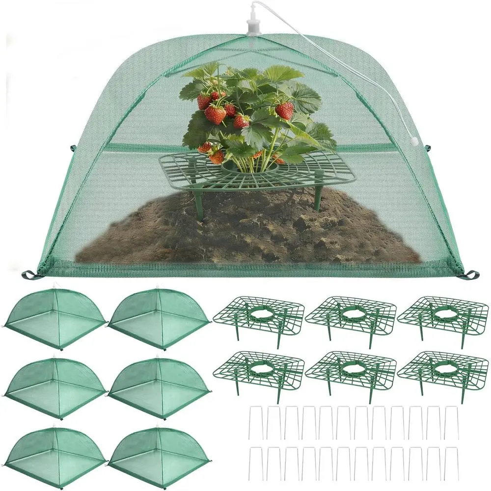6 Sets Stberry Plant Support with Mesh Plant Cover, Stberry Growing Rack Kit with 24 Iron Plant Nails or Garden, Stberry Growing
6 Sets Stberry Plant Support with Mesh Plant Cover, Stberry Growing Rack Kit with 24 Iron Plant Nails or Garden, Stberry Growing