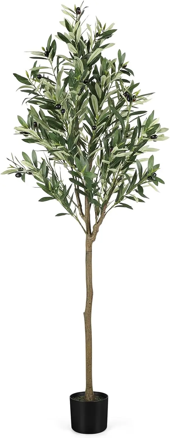 March Wind Olive Tree Potted Plant, Simulated Silk, Nearly 5 Feet Tall With 48 Lifelike Olive Fruits, Adjustable Branches
March Wind Olive Tree Potted Plant, Simulated Silk, Nearly 5 Feet Tall With 48 Lifelike Olive Fruits, Adjustable Branches