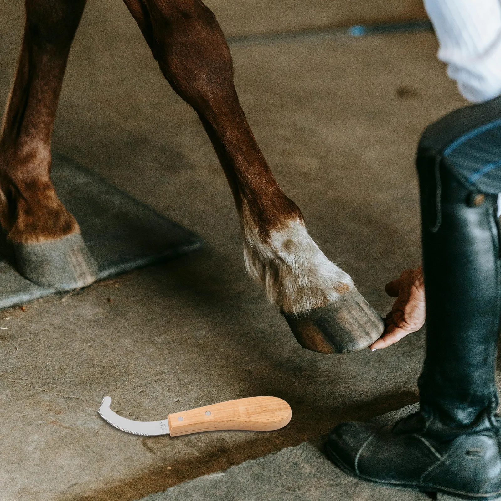 Horse Bot Egg Knife Stainless Steel Blade Ergonomic Handle Precise Bot Egg Removal Horse Grooming Scraper Portable Equine
Horse Bot Egg Knife Stainless Steel Blade Ergonomic Handle Precise Bot Egg Removal Horse Grooming Scraper Portable Equine