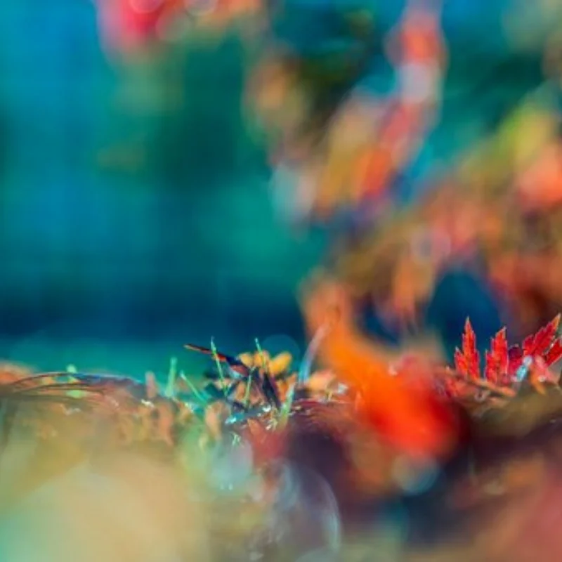 Металлическая монтажная пластина двигателя 8290 8290R 8290X для Trxs TRX4 TRX6 1/10, радиоуправляемый гусеничный автомобиль, обновленные детали, аксессуары
Металлическая монтажная пластина двигателя 8290 8290R 8290X для Trxs TRX4 TRX6 1/10, радиоуправляемый гусеничный автомобиль, обновленные детали, аксессуары