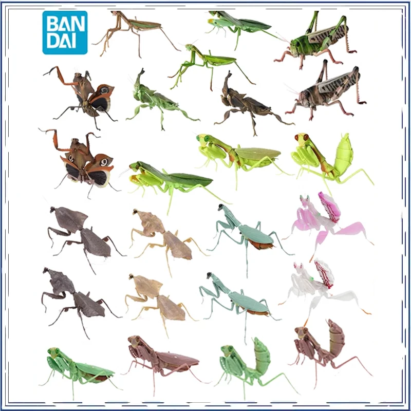 BANDAI Anime Biological Encyclopedia Mantis Grasshopper Gashapon Christmas Gifts or Collection Genuine Action Figure Model Toys
BANDAI Anime Biological Encyclopedia Mantis Grasshopper Gashapon Christmas Gifts or Collection Genuine Action Figure Model Toys