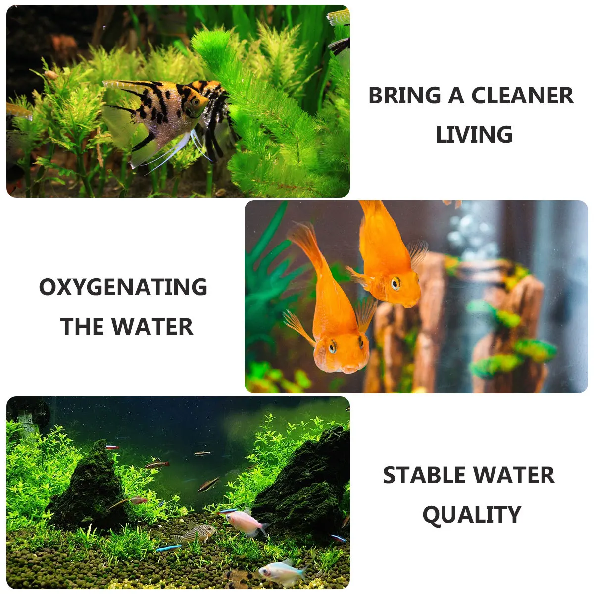 Aquarium Fish Tank Biochemical Sponge Filter Black for 30cm Aquariums Super Biochemical Filter Oxygenation Biological
Aquarium Fish Tank Biochemical Sponge Filter Black for 30cm Aquariums Super Biochemical Filter Oxygenation Biological