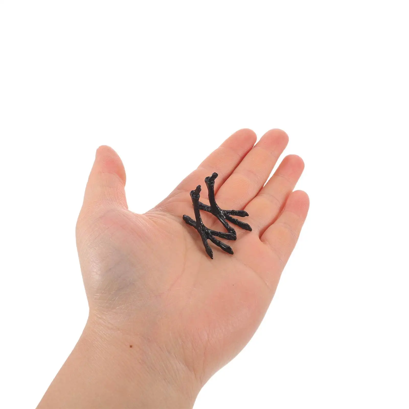 6Pcs Black Metal Bird Feet Realistic Crow Paws for DIY Crafts Needle Felting Ravens Sparrows Accessories Miniature Supplies
6Pcs Black Metal Bird Feet Realistic Crow Paws for DIY Crafts Needle Felting Ravens Sparrows Accessories Miniature Supplies