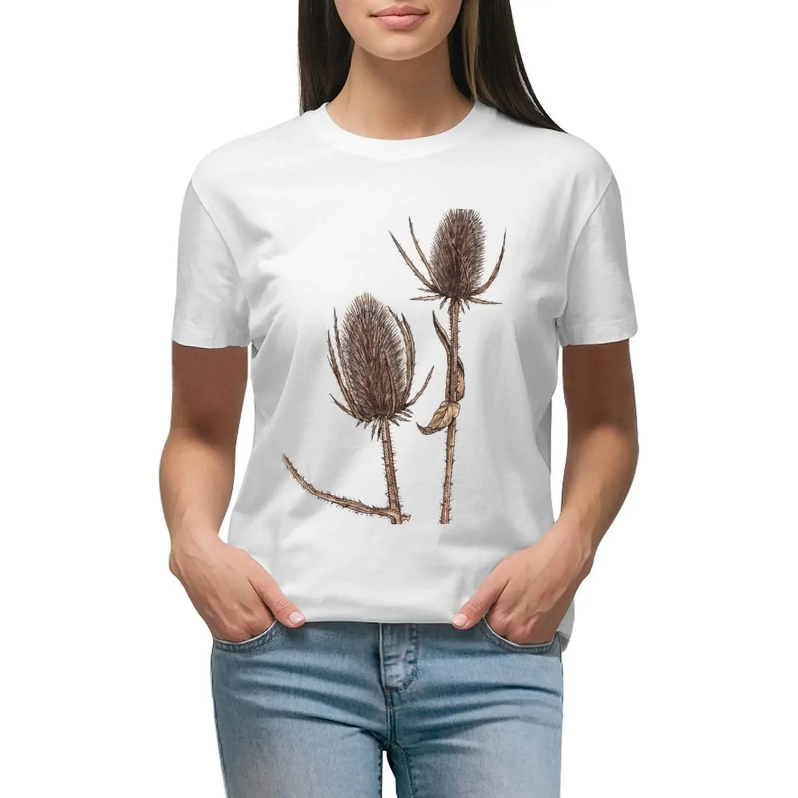 Teasel Seed Pods, Dipsacus Fullonum, Wild Teasel Plant T-shirt lady clothes vintage clothes t shirts for Women loose fit
Teasel Seed Pods, Dipsacus Fullonum, Wild Teasel Plant T-shirt lady clothes vintage clothes t shirts for Women loose fit