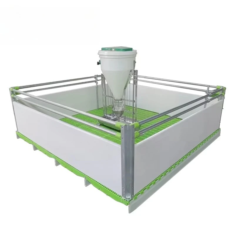 2025 New Hot Sale Full Weaning/Nursery with Hot Dip Galvanized Steel Rod and SST304 Pig Farm Equipment
2025 New Hot Sale Full Weaning/Nursery with Hot Dip Galvanized Steel Rod and SST304 Pig Farm Equipment