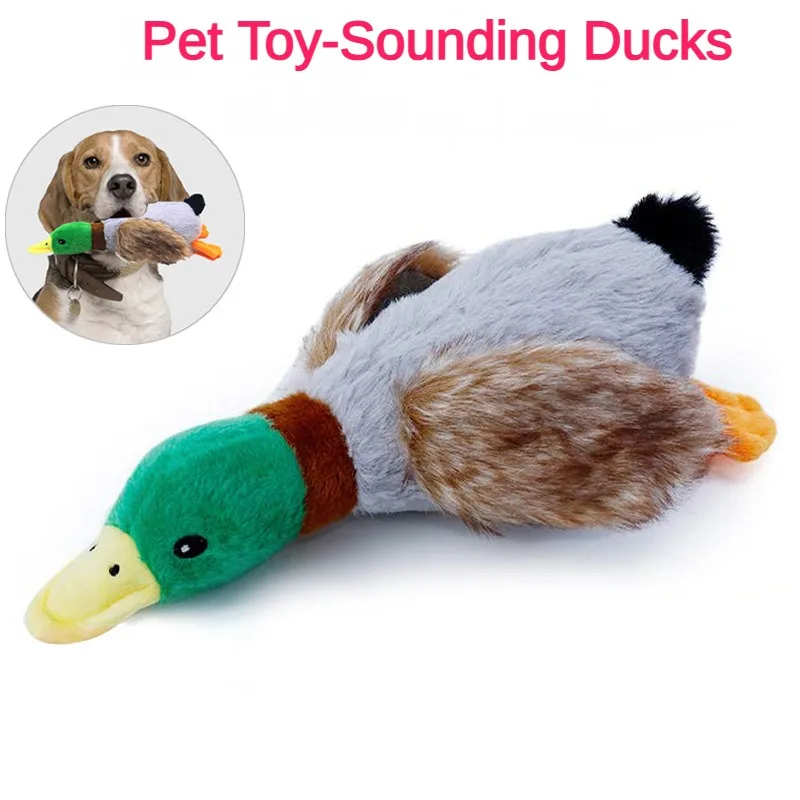 New Arrival 28cm Plush Sound Simulation Wild Duck Cross-Border Interactive & Movement Pet Toy for Dogs and Cats
New Arrival 28cm Plush Sound Simulation Wild Duck Cross-Border Interactive & Movement Pet Toy for Dogs and Cats