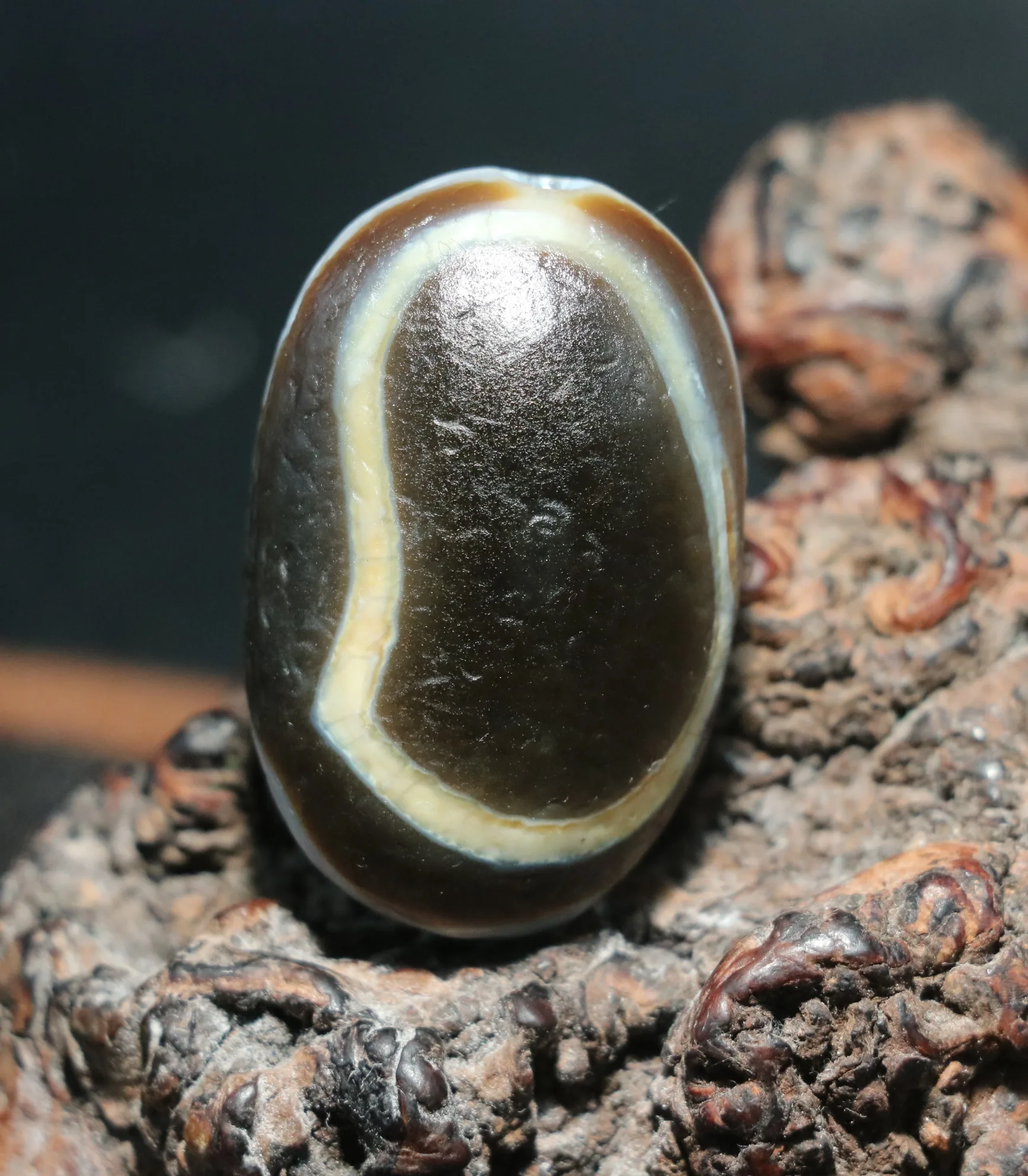 Unique Pattern Energy Tibetan Old Agate Eyed in Eyed Goat Eye dZi Bead Pendant 2 Side Carving AqA
Unique Pattern Energy Tibetan Old Agate Eyed in Eyed Goat Eye dZi Bead Pendant 2 Side Carving AqA