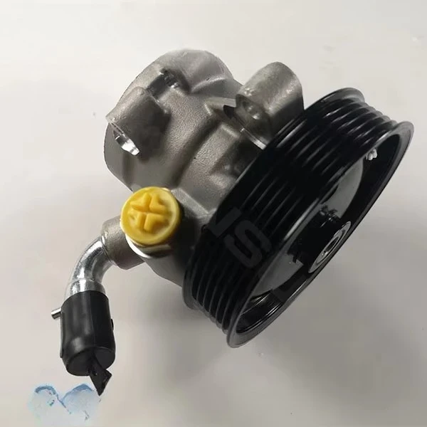 For Ford ECOSPORT 2S653A696DA 2S653A696CA 2S653A696EA 2S653A696EB 2S653A696EC Hydraulic Power Steering Pump
For Ford ECOSPORT 2S653A696DA 2S653A696CA 2S653A696EA 2S653A696EB 2S653A696EC Hydraulic Power Steering Pump