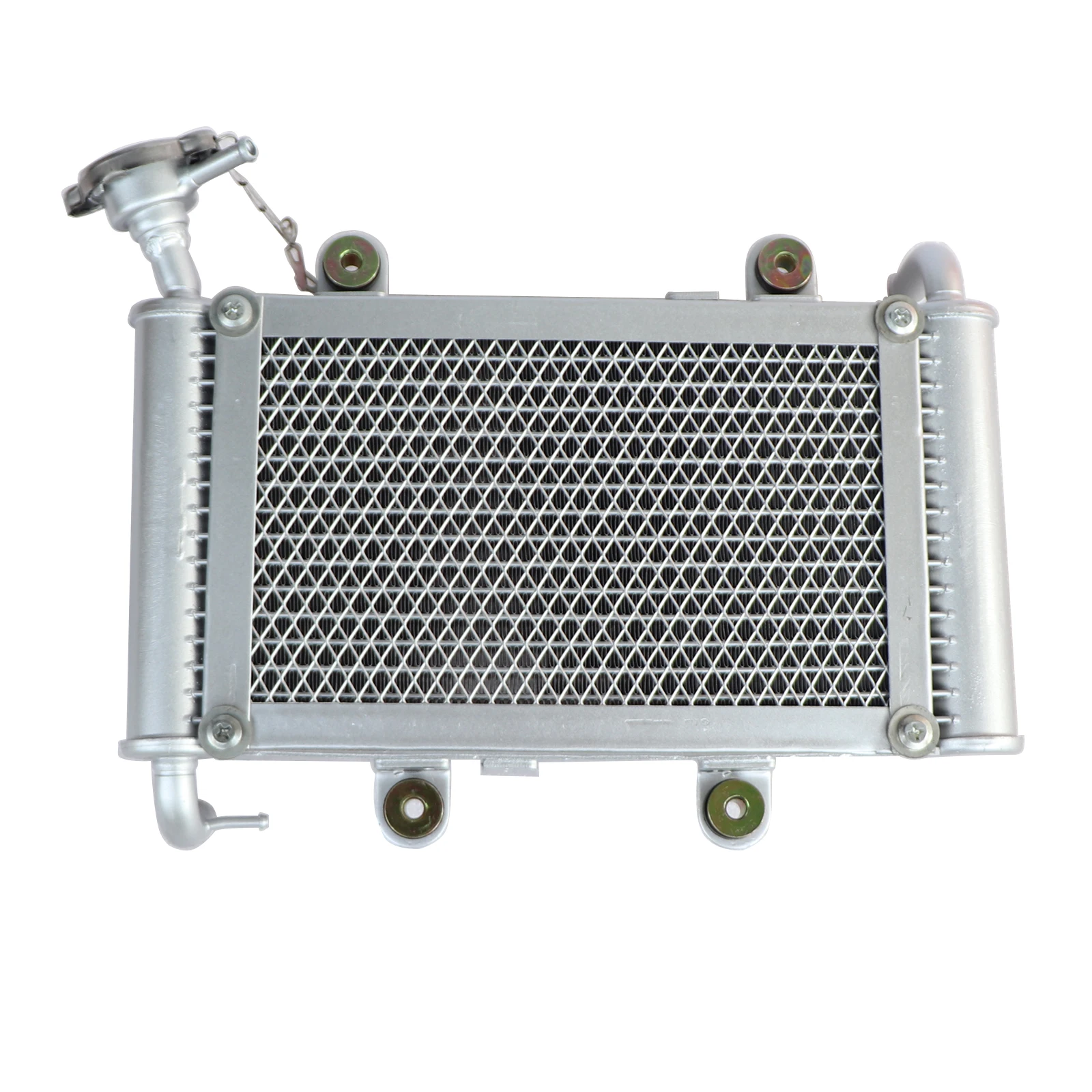 Radiator Cooler Water Cool Cooling For Bashan 200CC 250CC BS200 BS200S-7 UTV ATV Quad Bike Buggy Engine Accessories
Radiator Cooler Water Cool Cooling For Bashan 200CC 250CC BS200 BS200S-7 UTV ATV Quad Bike Buggy Engine Accessories