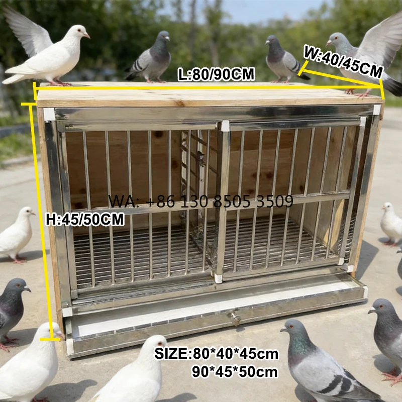 Outdoor All-Season Eco-Friendly Racing Pigeon Breeding Cage Durable Stainless Steel Wooden Pigeon Loft Multi-Purpose Bird Box
Outdoor All-Season Eco-Friendly Racing Pigeon Breeding Cage Durable Stainless Steel Wooden Pigeon Loft Multi-Purpose Bird Box