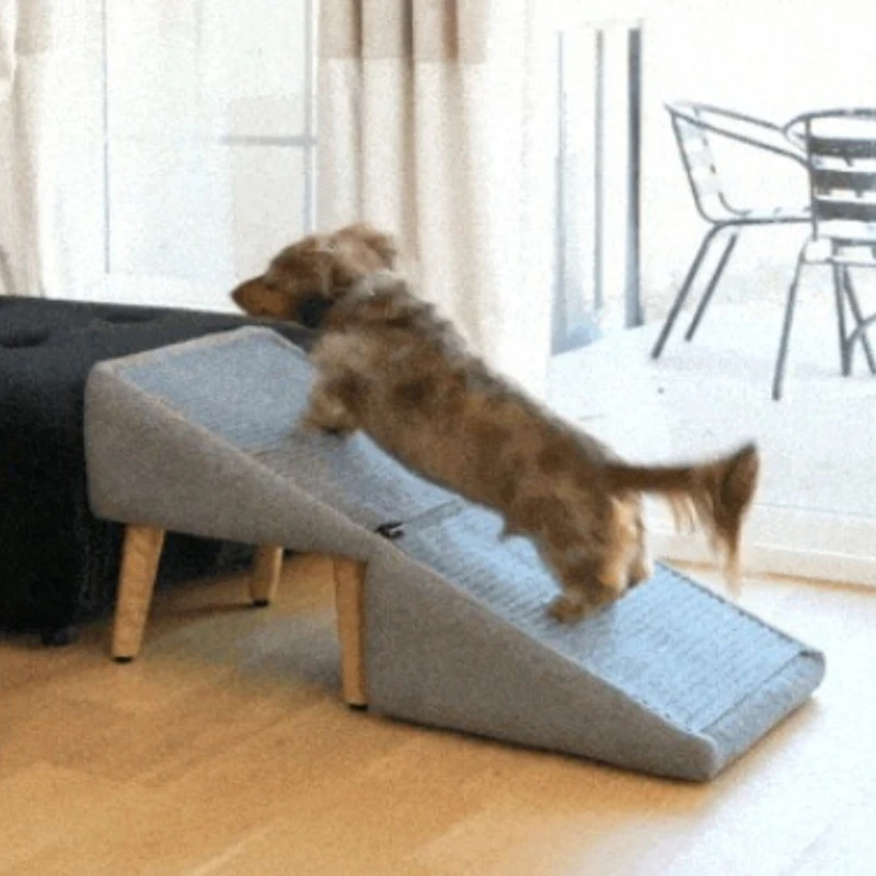 Лестница-пандус для домашних животных: для собак, щенков, котят, ступеньки для подъема, мебель для собак, вспомогательные ступеньки, высокопрочная лестница для кошек
Лестница-пандус для домашних животных: для собак, щенков, котят, ступеньки для подъема, мебель для собак, вспомогательные ступеньки, высокопрочная лестница для кошек