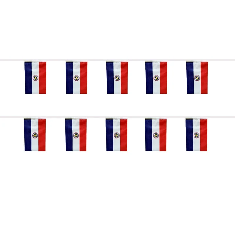 SKY FLAG Paraguay bunting flags 14x21cm 20pcs/lot Paraguay String flags Pennant Banner Festival Party Holiday for decoration
SKY FLAG Paraguay bunting flags 14x21cm 20pcs/lot Paraguay String flags Pennant Banner Festival Party Holiday for decoration