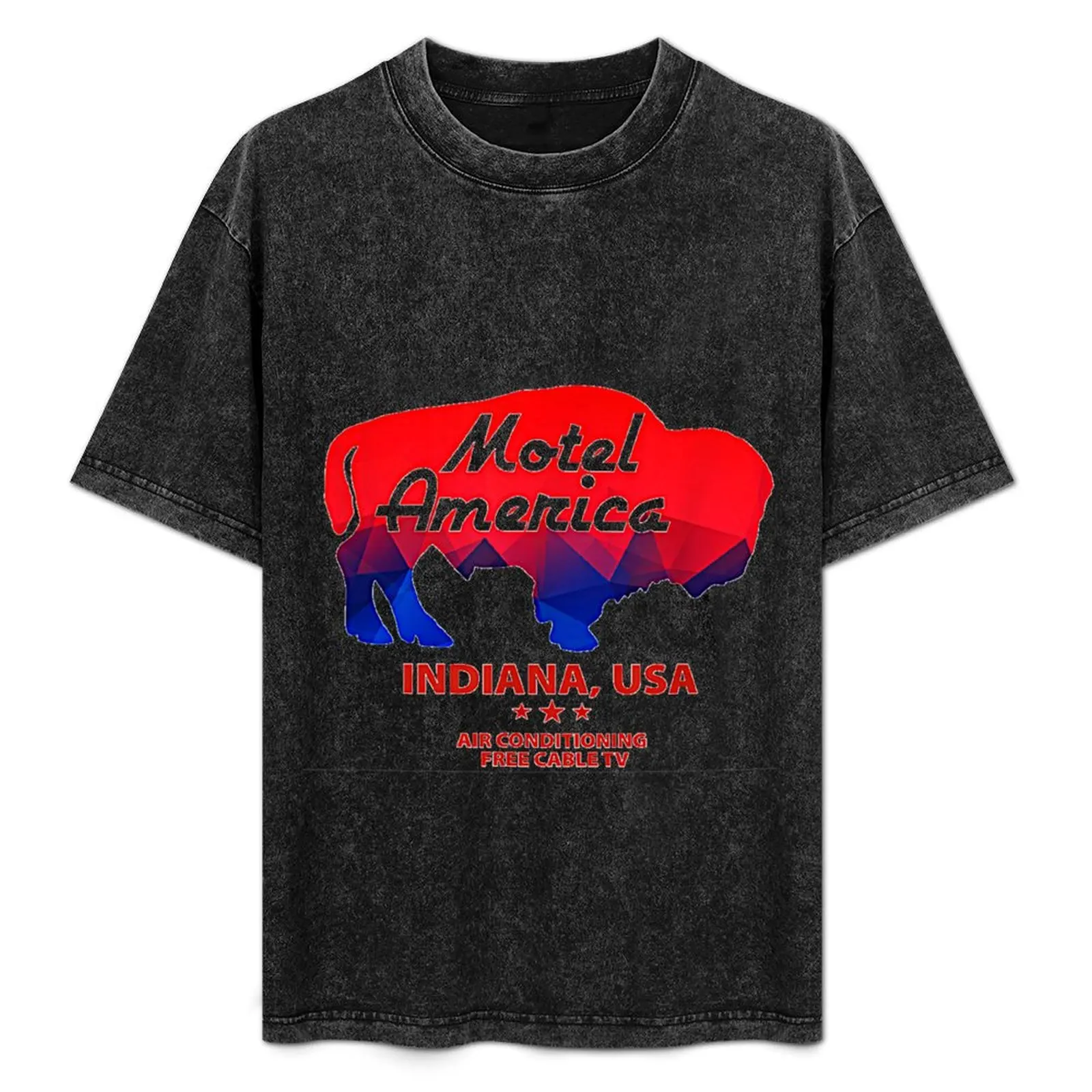 American Gods Motel America T-Shirt t shirt for man cotton tshirt 100% T-Shirt
American Gods Motel America T-Shirt t shirt for man cotton tshirt 100% T-Shirt