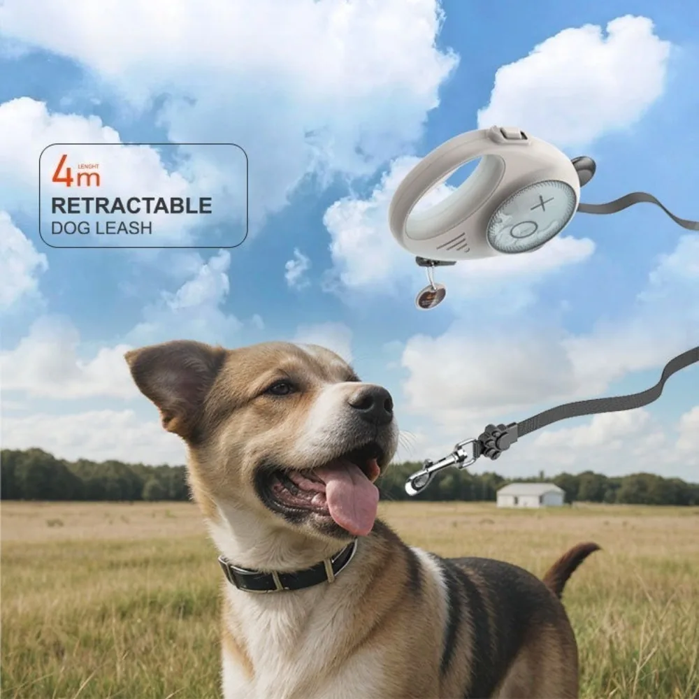 Автоматический прочный поводок для собак для прогулок, выдвижной, безопасный и стабильный поводок для собак, запираемый, аксессуары для собак среднего размера, принадлежности
Автоматический прочный поводок для собак для прогулок, выдвижной, безопасный и стабильный поводок для собак, запираемый, аксессуары для собак среднего размера, принадлежности