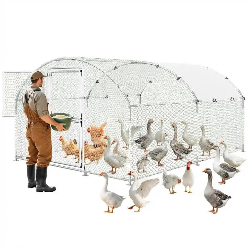 Heavy Duty Walk-in Metal Chicken Coop Escape-Proof Cage Dutch Door Waterproof UV Roof Backyard Farm Yard, Customized
Heavy Duty Walk-in Metal Chicken Coop Escape-Proof Cage Dutch Door Waterproof UV Roof Backyard Farm Yard, Customized