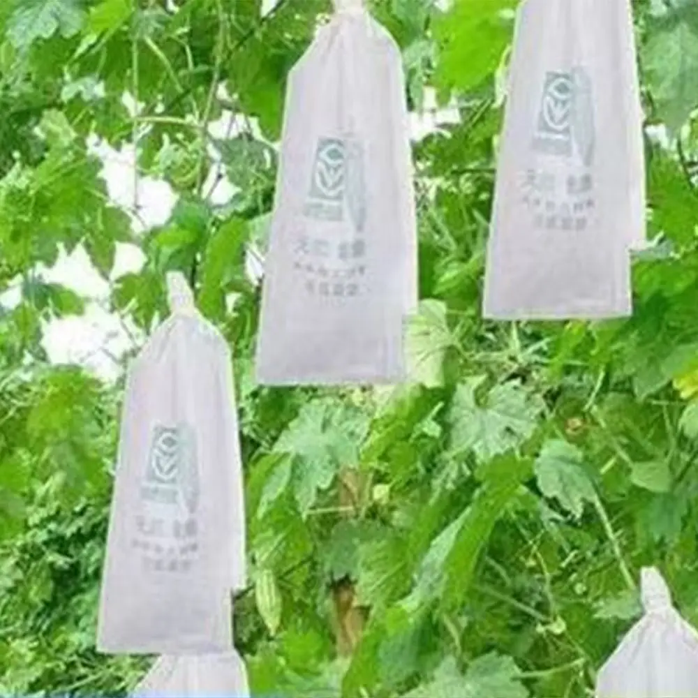 100pcs Breathable Balsam Pear Protection Bags Against Insect Practical Plant Grow Bag Generic Loofah Grow Bags
100pcs Breathable Balsam Pear Protection Bags Against Insect Practical Plant Grow Bag Generic Loofah Grow Bags
