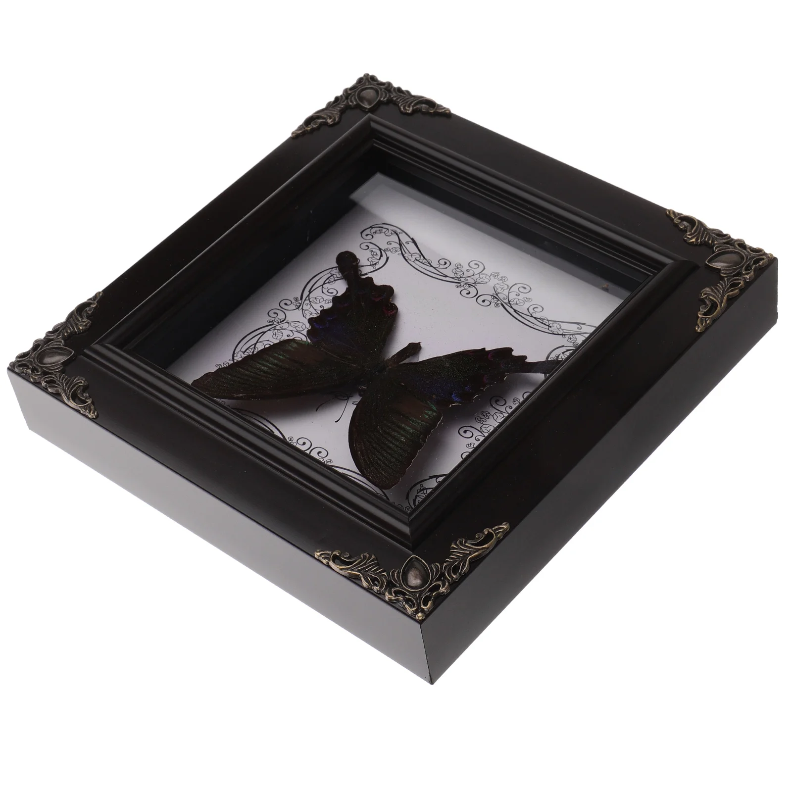 Butterfly Specimen Photo Frame Specimens Wooden Picture Frames Girl Real Framed Plastic
Butterfly Specimen Photo Frame Specimens Wooden Picture Frames Girl Real Framed Plastic