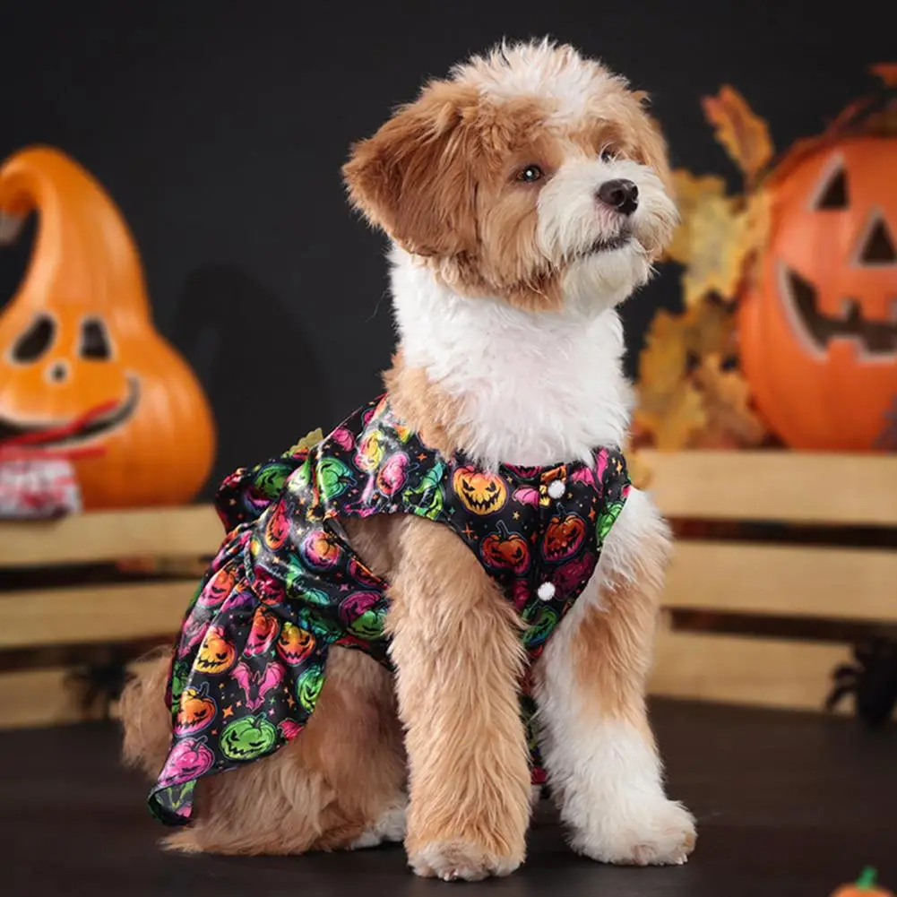 Bright Color Dog Clothes Whimsical Halloween Pet Costumes Angel Wings Magician Outfits for Dogs Cats Fun Cosplay for Parties
Bright Color Dog Clothes Whimsical Halloween Pet Costumes Angel Wings Magician Outfits for Dogs Cats Fun Cosplay for Parties