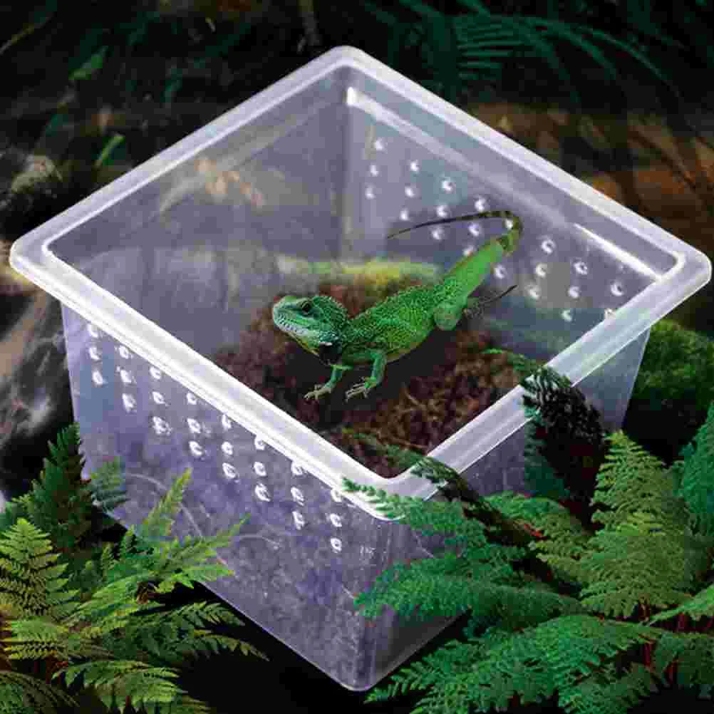 10 Pcs Reptile Feeding Box Terrarium Case Small Square Transparent Insect Containers Ventilated Reptile Breeding for Snakes
10 Pcs Reptile Feeding Box Terrarium Case Small Square Transparent Insect Containers Ventilated Reptile Breeding for Snakes