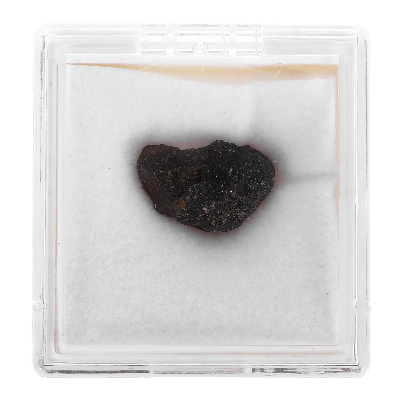 Rare Glass Meteorite Specimen Irregular Raw Stone for Astronomy Education Geology Learning Space Fan Rock Collection Meteorite
Rare Glass Meteorite Specimen Irregular Raw Stone for Astronomy Education Geology Learning Space Fan Rock Collection Meteorite
