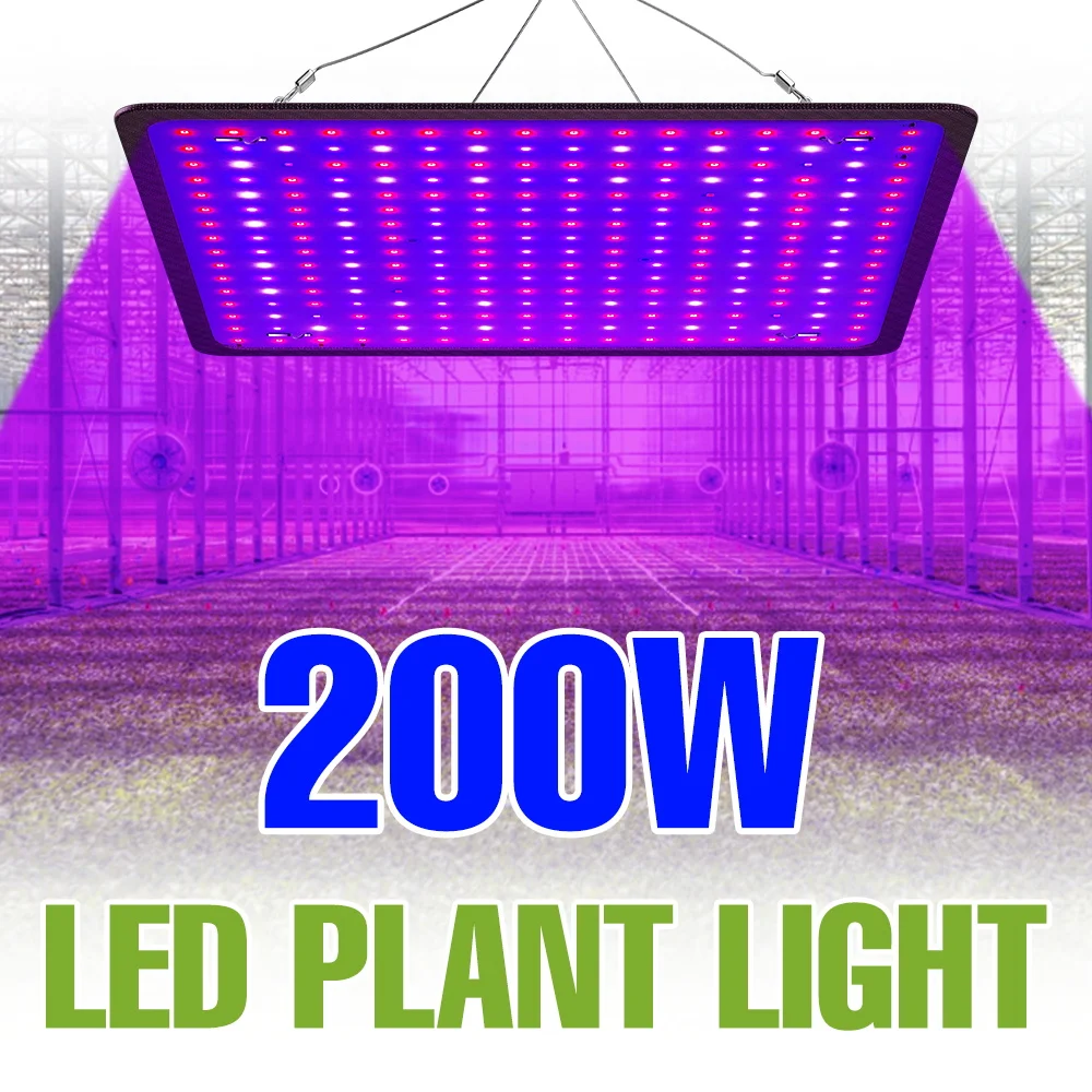 100W Full Spectrum Grow Light LED Quantum Board Plant Cultivation Lamp Greenhouse Tent Fruit Hydroponic Seeds Vegs Fill Lighting
100W Full Spectrum Grow Light LED Quantum Board Plant Cultivation Lamp Greenhouse Tent Fruit Hydroponic Seeds Vegs Fill Lighting