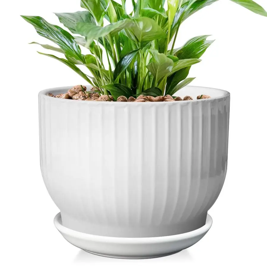 8-дюймовый керамический горшок для растений, керамический кашпо с дренажем и поддоном, керамические горшки для комнатных растений, чисто белые керамические цветочные горшки
8-дюймовый керамический горшок для растений, керамический кашпо с дренажем и поддоном, керамические горшки для комнатных растений, чисто белые керамические цветочные горшки