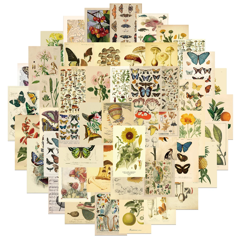 10/30/50pcs Retro Animal Plant Butterfly Stickers Vintage Decals Skateboard Laptop Motorcycle Luggage Waterproof Sticker Kid Toy
10/30/50pcs Retro Animal Plant Butterfly Stickers Vintage Decals Skateboard Laptop Motorcycle Luggage Waterproof Sticker Kid Toy