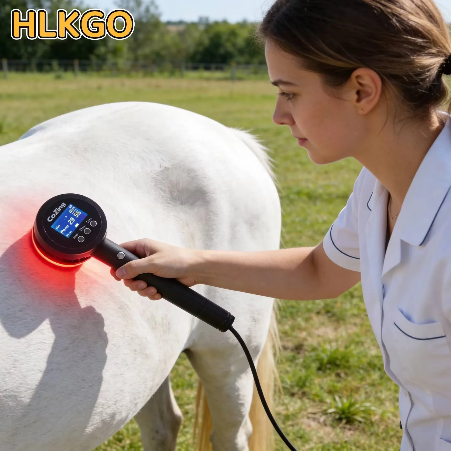 Портативный медицинский лазер для людей и животных - эффективное лечение остеоартроза, тендинита, заживления ран и отеков
Портативный медицинский лазер для людей и животных - эффективное лечение остеоартроза, тендинита, заживления ран и отеков