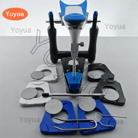 1 Set Dental Artex BN Standard Model Functional Articulator Teeth Model Accurate Scale Plaster Model Dentistry Lab Equipment