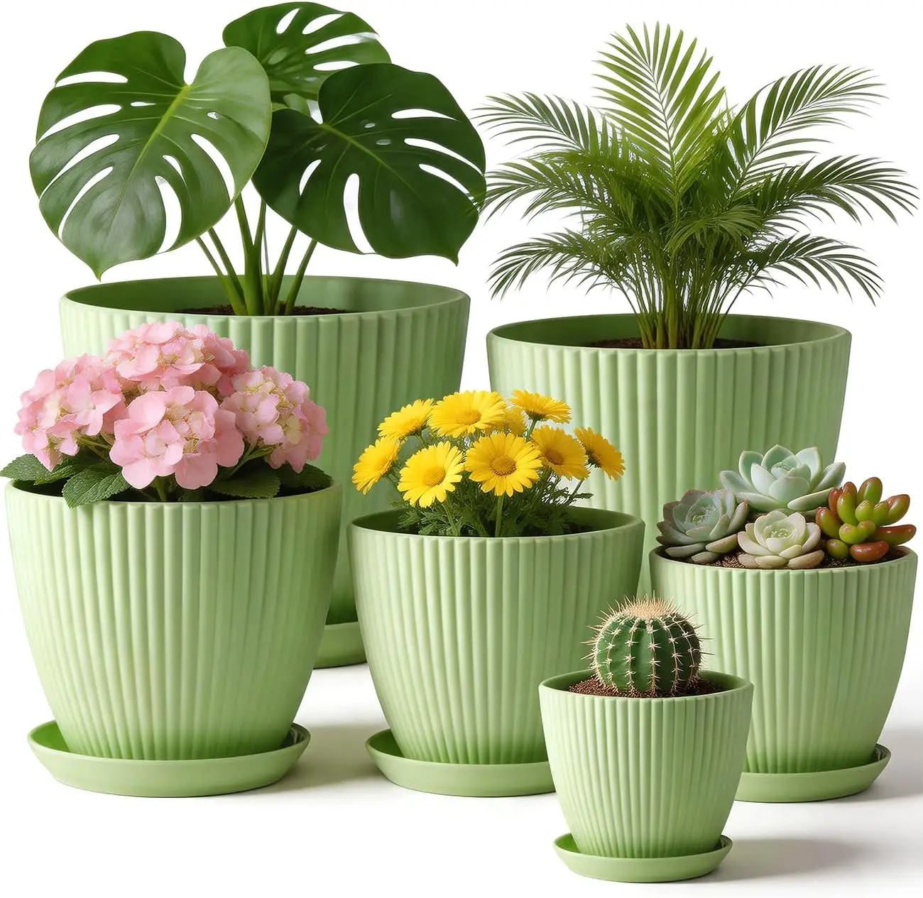 6-Pack Plant Pots with Saucers, 3.5-7.5 Inch, Plastic Flower Pots for Indoor Outdoor, Succulents, Herbs, Cactus, Green
6-Pack Plant Pots with Saucers, 3.5-7.5 Inch, Plastic Flower Pots for Indoor Outdoor, Succulents, Herbs, Cactus, Green