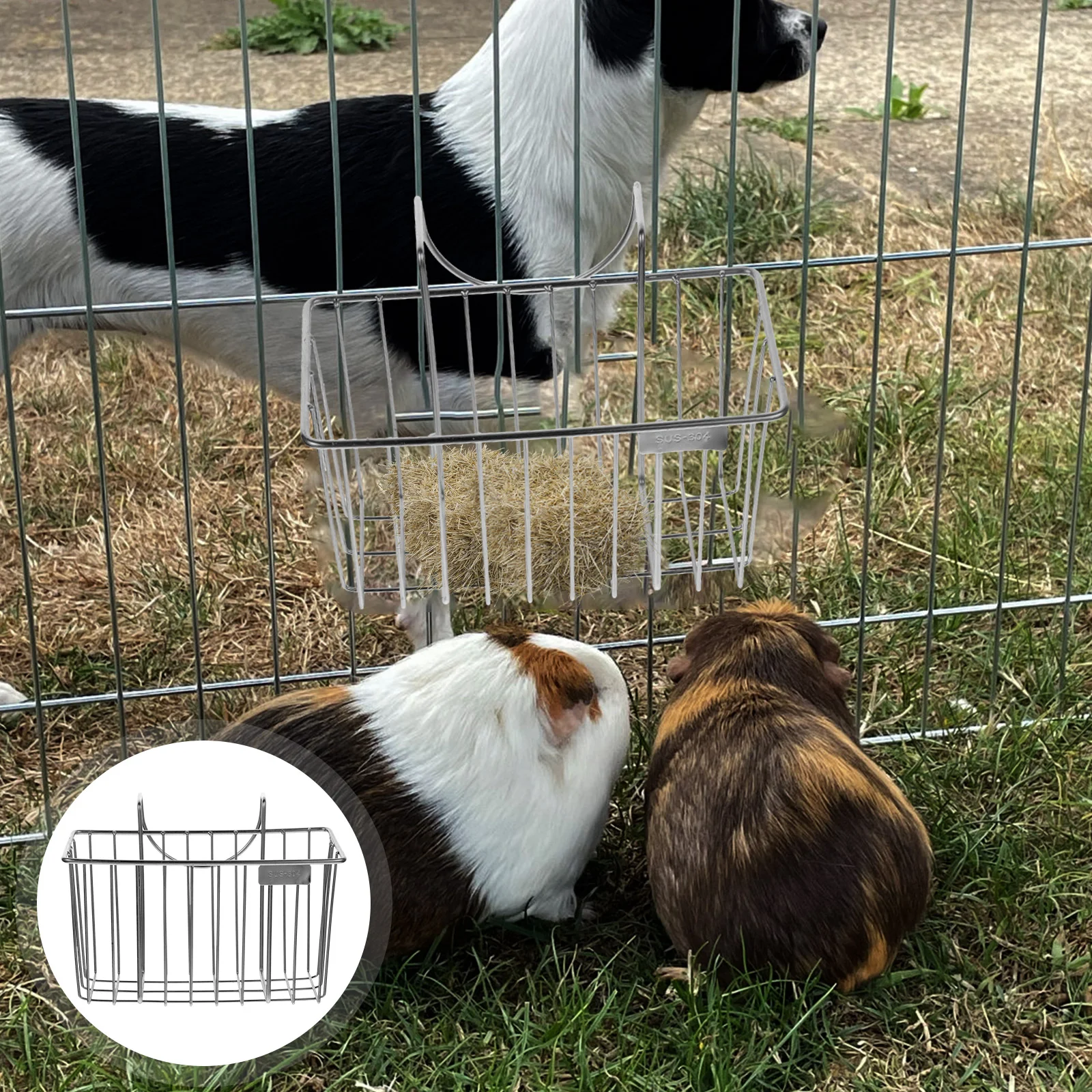 Hay Feeder Large Capacity 304 Stainless Steel Smooth Edges Usage Guinea Pig Bird Cage Feeders Metal Frame
Hay Feeder Large Capacity 304 Stainless Steel Smooth Edges Usage Guinea Pig Bird Cage Feeders Metal Frame