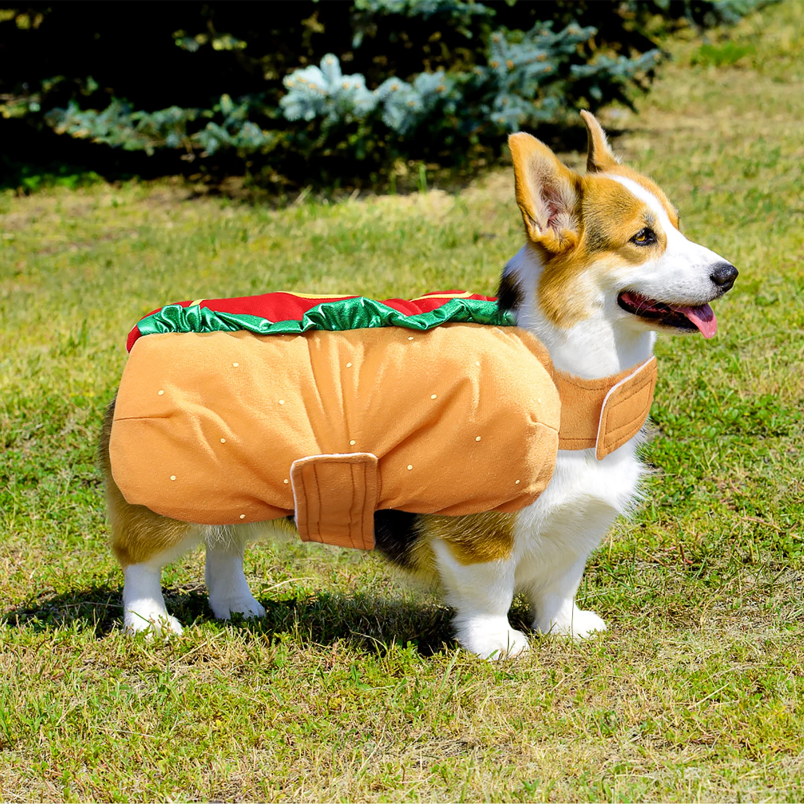 Pet Hot Dog Costume Funny Dog Cat Dress Up Suit Fashionable Carnival Party Wear Elastic Neck Easy On Off Size S
Pet Hot Dog Costume Funny Dog Cat Dress Up Suit Fashionable Carnival Party Wear Elastic Neck Easy On Off Size S