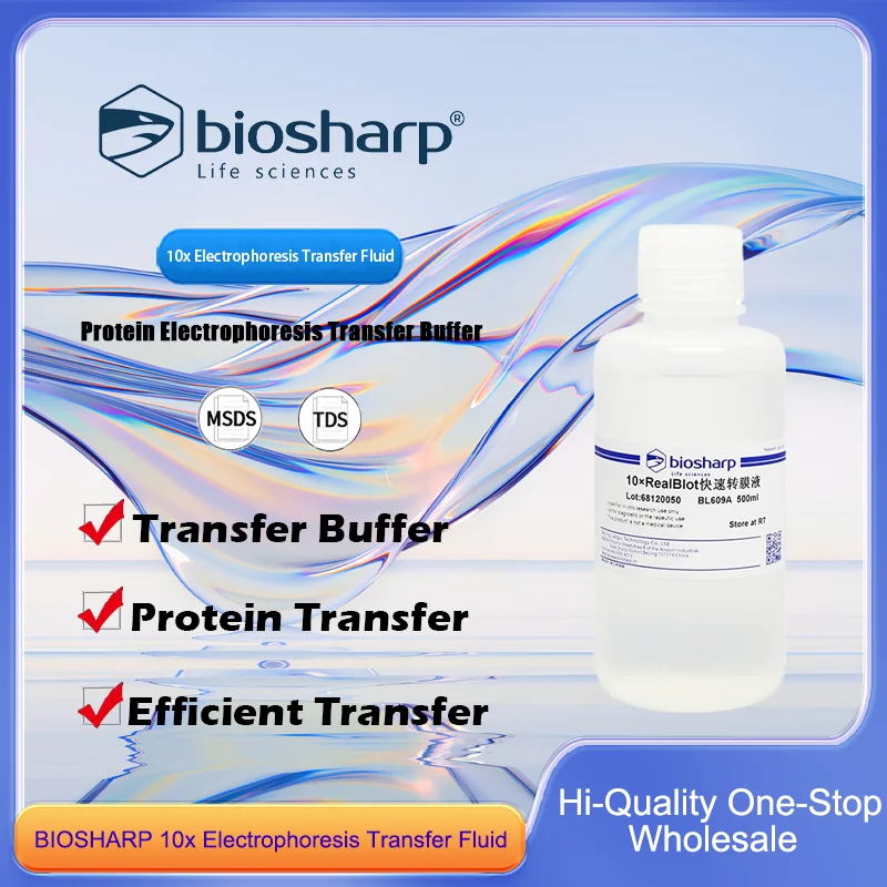 BIOSHARP 10x жидкость для переноса электрофореза для промокания белков и приложений для переноса оригинального продукта
BIOSHARP 10x жидкость для переноса электрофореза для промокания белков и приложений для переноса оригинального продукта