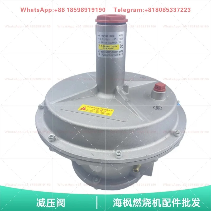 RG/2MC Low Pressure Pressure Regulator Natural Gas Stabilizing Valve For Gas Pipeline Boiler Gas Burner Industrial
RG/2MC Low Pressure Pressure Regulator Natural Gas Stabilizing Valve For Gas Pipeline Boiler Gas Burner Industrial