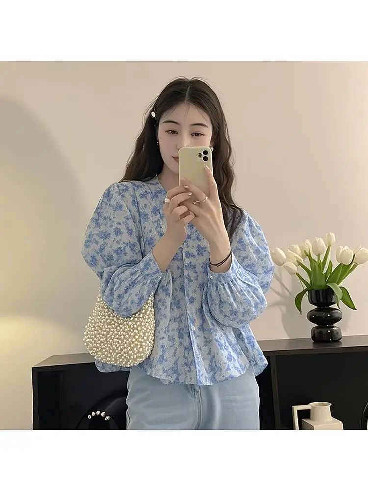 Blue Floral Print Chiffon Shirt Long Sleeve Women's Spring Fashion Casual Commute Style Korean Version Straight Cut Blouse
Blue Floral Print Chiffon Shirt Long Sleeve Women's Spring Fashion Casual Commute Style Korean Version Straight Cut Blouse