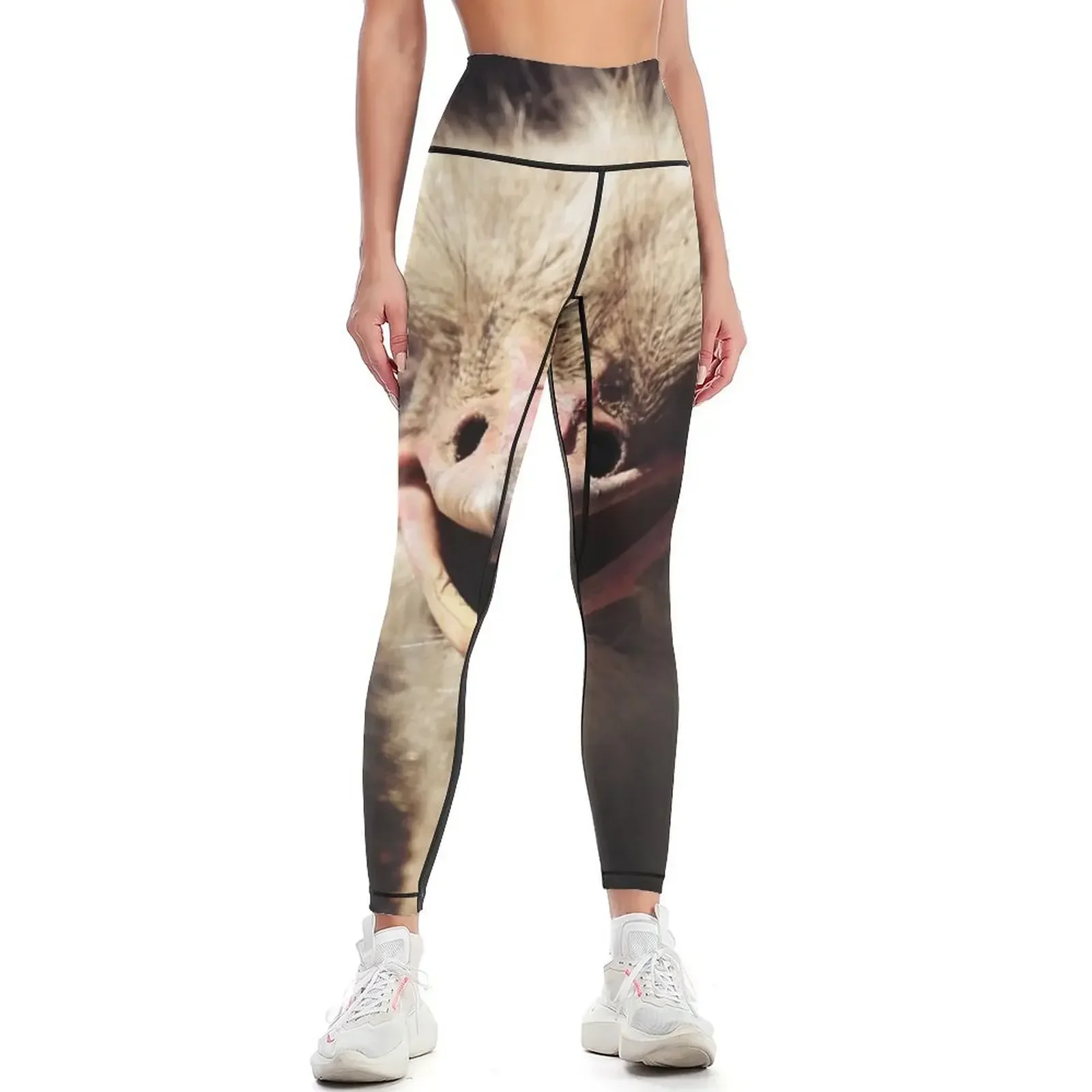 ostrich Leggings Legging sport flared sportswear gym trousers Womens Leggings
ostrich Leggings Legging sport flared sportswear gym trousers Womens Leggings