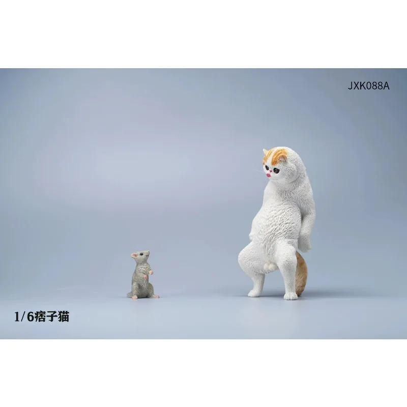 Модель животного JXK 1/6: Оранжевый кот-панк и мышка, имитация из смолы, игрушка, украшение для стола, подарок, аксессуар для демонстрации
Модель животного JXK 1/6: Оранжевый кот-панк и мышка, имитация из смолы, игрушка, украшение для стола, подарок, аксессуар для демонстрации