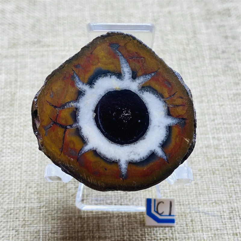 Natural Crystal Lightning Stone Mineral Specimen Energy Chakra Christmas Decoration Gift
Natural Crystal Lightning Stone Mineral Specimen Energy Chakra Christmas Decoration Gift