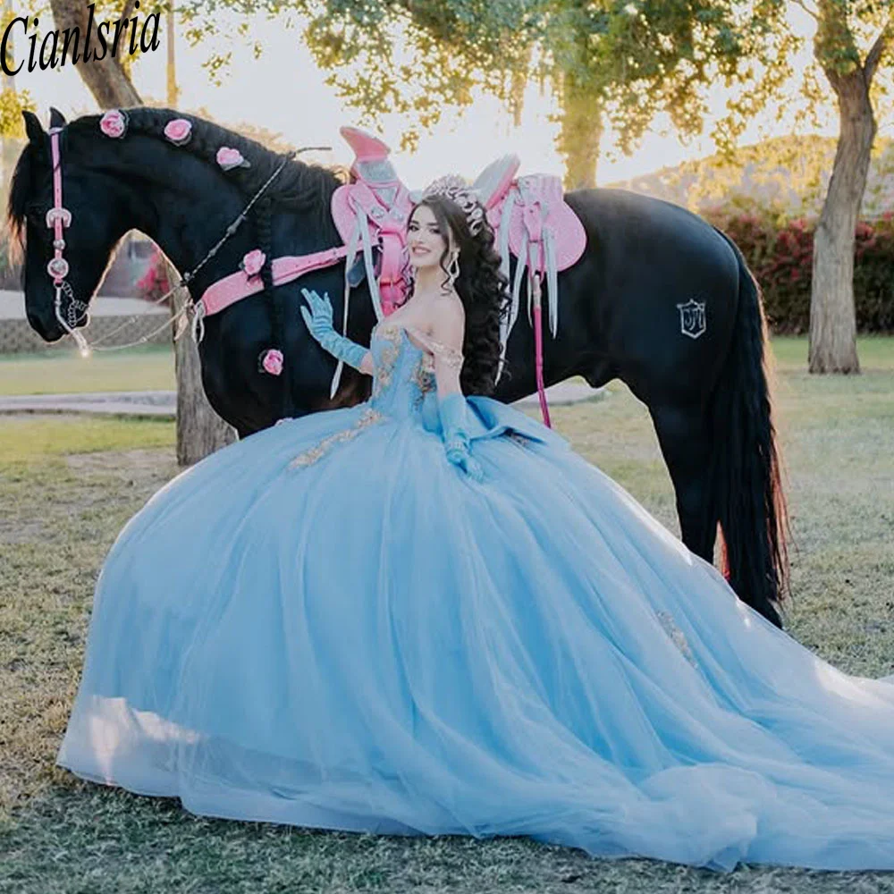 Glittering Blue Quinceanera Dresses Pink Flowers Lace Vestidos De 15 Anos Birthday Party Prom Ball Gown Customized
Glittering Blue Quinceanera Dresses Pink Flowers Lace Vestidos De 15 Anos Birthday Party Prom Ball Gown Customized