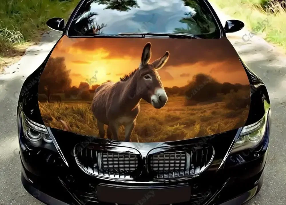 Funny Donkey Farm Animals Car Hood Decal Truck Decals Vinyl Sticker Graphic Wrap Stickers Trucks Cars Bonnet Vinyls
Funny Donkey Farm Animals Car Hood Decal Truck Decals Vinyl Sticker Graphic Wrap Stickers Trucks Cars Bonnet Vinyls