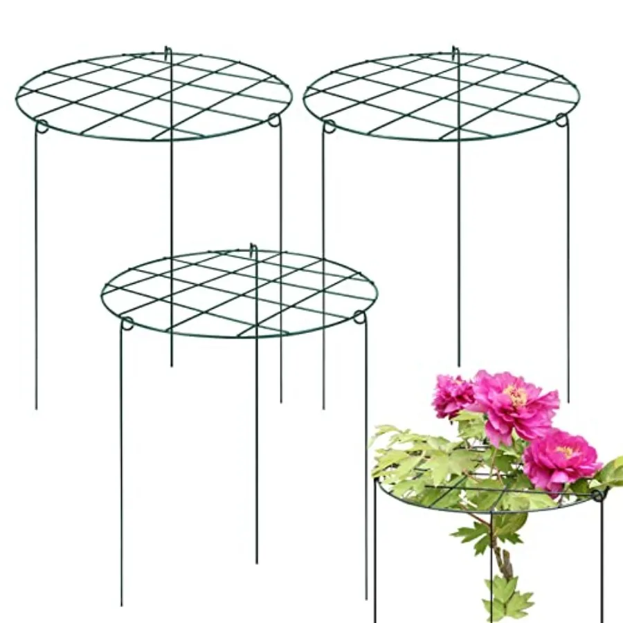 Pack 1 x 24 Inch Peony Support Cage Grow Through Plant Supports for Outdoor Plants Peony Ring Hoop Grow Through Grid Stakes
Pack 1 x 24 Inch Peony Support Cage Grow Through Plant Supports for Outdoor Plants Peony Ring Hoop Grow Through Grid Stakes