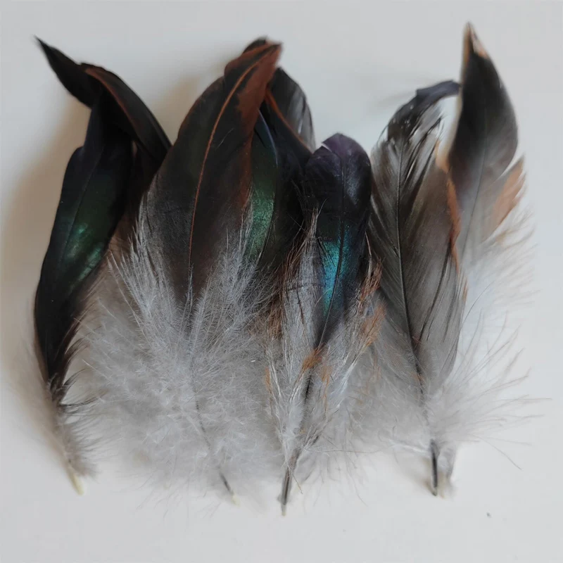 Decoration Accessories! 200Pcs/Lot! Nature Colors Saddle Badger Rooster Feathers 4-6 Inches Long,Plumas Decorativas
Decoration Accessories! 200Pcs/Lot! Nature Colors Saddle Badger Rooster Feathers 4-6 Inches Long,Plumas Decorativas