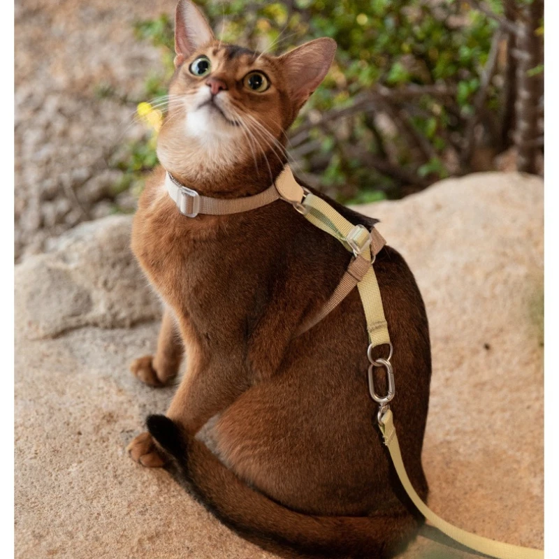 Breathable Lightweight Cat Harness and Leash Set, Escape Proof Adjustable Back Soft Vest for Walking Cats,Leather Trim Only 36g
Breathable Lightweight Cat Harness and Leash Set, Escape Proof Adjustable Back Soft Vest for Walking Cats,Leather Trim Only 36g