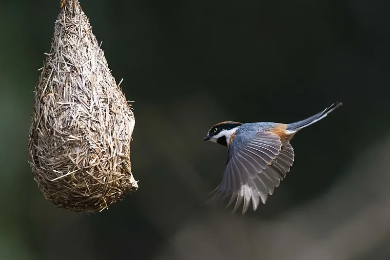 1:43 Мини RC Drift Racing Car — высокоскоростной 2,4G 4WD, детская (мальчики), подарочная модель
1:43 Мини RC Drift Racing Car — высокоскоростной 2,4G 4WD, детская (мальчики), подарочная модель
